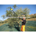 harvest olive net